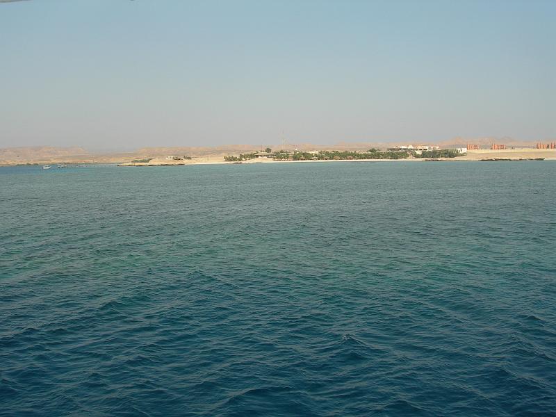 MANGROVE 07  2008 162.jpg